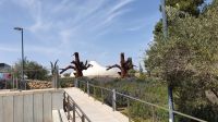 20220401 114615 Israel Museum