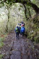 Wanderung 25 Fontäne