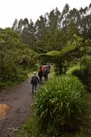 Levada do Rei
