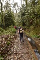 Wanderung Levada do Rei