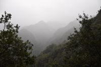 Nebel Tal von Sao Jorge