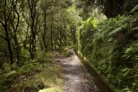 Rückweg Levada do Rei