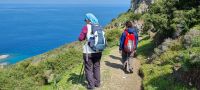 Wanderung auf der Akamashalbinsel - Zypern.jpg