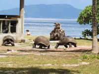 Schildkrötenaufzucht La Curieuse 