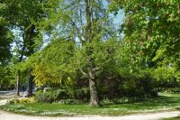 Paris Petit Tag 2  Spaziergang entlang der Champs Élysées 