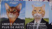 Paris Petit Tag 4 Wahlplakate 