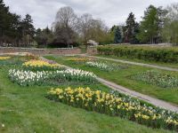 Im Donaupark 