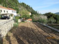 Gemüsegarten