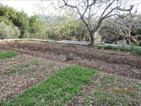 Gemüsegarten