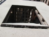 Collosseum: raffinierte Technik, um Tiere in die Arena zu bringen