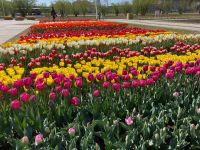 2. Tag – Besuch der Floriade