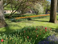 3. Tag – Tulpenblüte im Keukenhof