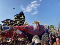 4. Tag – Blumenkorso