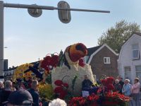 4. Tag – Blumenkorso