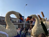 4. Tag – Blumenkorso