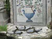 interessante Bewohner des