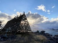 Tag 9 - Stockfisch.jpg