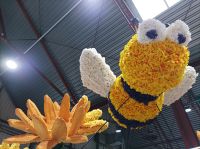 Blumenaufbau Sassenheim