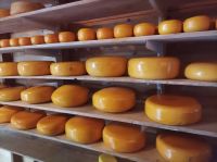 Amstelveen, Rembrandt Hoeve 