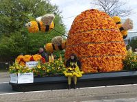 Sassenheim, Blumencorso