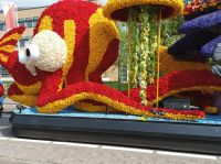 Sassenheim, Blumencorso