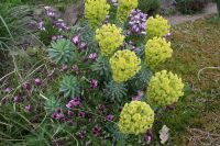 Spaziergang in Gorey