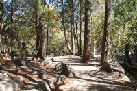 211 Spaziergang Yosemite NP