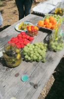 217 Picknick im Yosemite NP