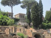 im Forum Romanum