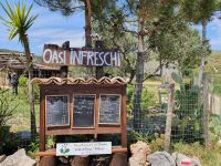 Mittagspause im Oasi Infreschi