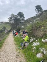 Picknick auf halber Höhe - windgeschützt
