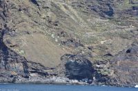 Whale Watching Tour - Piratennest - Cueva de Candelaria