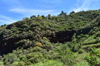Wanderung im Nordesten - Cueva de Buracas