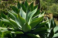 Wanderung im Nordesten - Cueva de Buracas