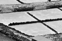 Salinas de Fuencaliente