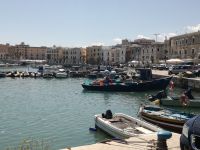 Trani - Hafen