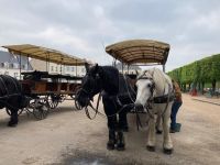 Blois - unsere zwei PS warten schon.