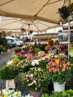 Campo dei Fiori