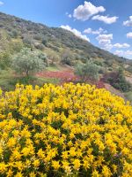 Tag 2 - Der Aufstieg.jpg