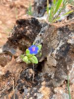 Tag 2 - Impressionen.jpg