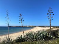 Tag 3 - Strand von Martinhal.jpg