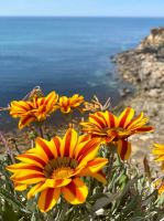 Tag 4 - Impressionen.jpg