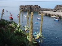 Camara de Lobos
