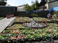 Funchal + Blumenfest