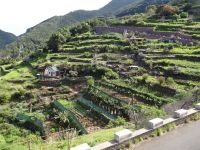 Levada-Wanderung - Terrassenfelder