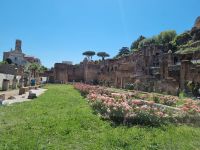 Rom - Forum Romanum (Haus der Vestalinnen)
