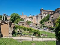 Rom - Forum Romanum 