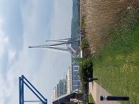 Schrägseilbrücke Pont de Normandie