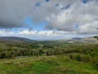 The Burren