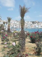 DSCN5843.JPG       Sitia